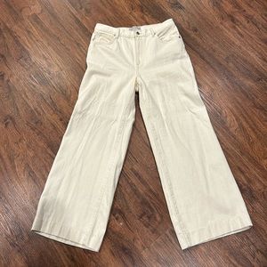 Everlane The Summer Wide Leg Jean